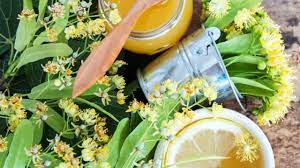 Însă acestea trebuie să fie conștiente de efectele. Ceaiul De Tei Beneficii È™i ContraindicaÈ›ii