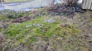 Image result for site:byggahus.se hyvla