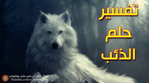 تفسير حلم الذئب ما معنى رؤية الذئب في الحلم سلسلة تفسير الأحلام Youtube