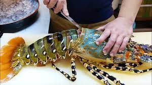 We did not find results for: Japanese Street Food 600 Giant Rainbow Lobster Sashimi Japan Seafood Youtube
