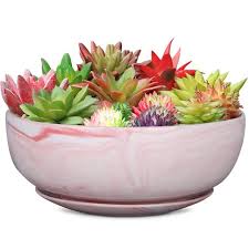 This planter is particularly ideal for people with a limited amount of outdoor space who dream of lush and large vegetable gardens—it's small enough. The Best Succulent Planters That You Can Buy On Amazon Stylecaster