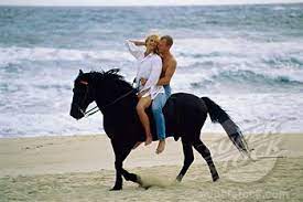 19 Lovers Ride Horses On Beach Horses Horse Couple Horseback Riding