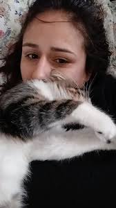 Jay Jay jetplane (@jayjayjetplane3)