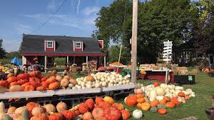Growing vegetables, fruits plants, livestock. Bj Farm Pocetna Facebook
