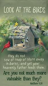 Birds Of The Air Bible Verse Pin On Events We Need To Know About It