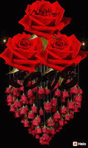 Discover images and videos about love gif from all over the world on we heart it. Love Roses Gif Love Roses Heart Discover Share Gifs Roses Gif Rose Flower Wallpaper Love Flowers