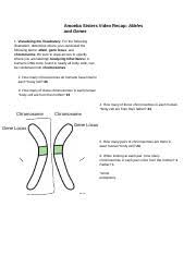 Complete the missing boxes in the chart. Video Recap Of Alleles And Genes By Amoeba Sisters Amoeba Sisters Video Recap Alleles And Genes 1 Visualizing The Vocabulary For The Following Course Hero