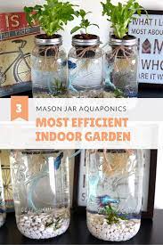 3 Mason Jar Aquaponics Kit Organic Sustainable Fish Hydroponics Herb Garden Without Jars Indoor Vegetable Gardening Indoor Herb Garden Aquaponics