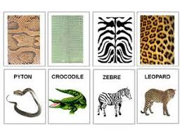 Theme Des Agents Tres Tres Secrets 1 Et 2 Et 3 Doudous Patrons Patterns Gabarits Fete A Themes Pour Enfants Science Montessori Theme Animaux Du Zoo