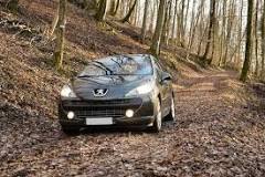 8 Common Faults With Peugeot 207 - Scrap My Car Company