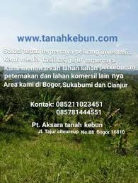 25.000.00 per m, nego tipis. 13 Dijual Tanah Kebun Di Bogor Ideas Cianjur Lahan Bogor