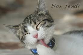 RÃ©sultat de recherche d'images pour "des chats bon jeudi"