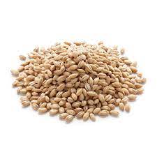 Here are 9 impressive health benefits of barley. Buy Barley Joo Hordeum Vlgare Ø¬Ùˆ In Pakistan