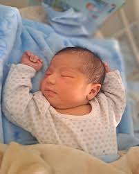 Sharon Vera (@nahiir_vera) • Instagram photos and videos