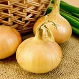 Onion- Yellow Spanish seeds | The Seed Collection
