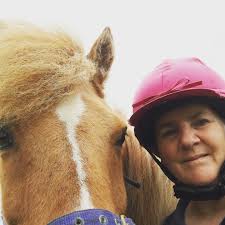 HorseClass (@horse.class) • Instagram photos and videos