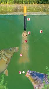 How To Make A Bagging Waggler Rig For Catching Big Carp Match Weights Carp Fishing Rigs Fishing Rigs Carp Fishing