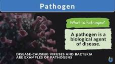 Pathogen Definition and Examples - Biology Online Dictionary