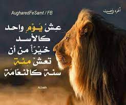 صور أجمــل عبارات أغرد فــي الصــــمت beautiful arabic words jesus art arabic quotes