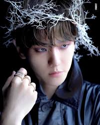 Downy expert indoor dry (korean and . Baekhyun Album On Imgur