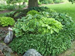 We did not find results for: Design Ideas For Hosta Gardens Favorite Perennials
