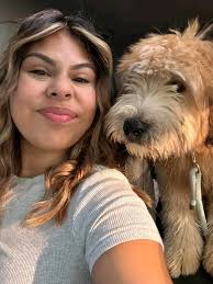 Hi everyone, This is a tough post to write, but we're looking to find a new  home for our 1-year-old female Soft Coated Wheaten Terrier, Hazel. Hazel is  a sweet, energetic, and