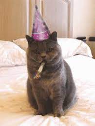 Pin By Linda Walker On Birthday Cats Happy Birthday Cat Happy Birthday Animals Happy Birthday Funny Cats