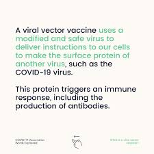 Maybe you would like to learn more about one of these? Who Europe On Twitter What Is A Viral Vector Vaccine Find Out More In The Images Vaccineswork Covid19