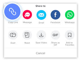 Open your tiktok application · choose the tiktok video that you want to download · click share and at the share options, find copy link button · your download url . Download Tiktok Videos Without Watermark On Android And Iphone