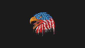 Check spelling or type a new query. Hd Wallpaper Animals Eagle Birds American Flag Artwork Minimalism Wallpaper Flare