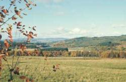 Traditionally, the lowlands were distinguished by the use of the scots language (considered a dialect or close Eastern Coastal Lowlands Exploring Scotland The James Hutton Institute