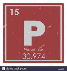 Download This Stock Image Phosphorus Chemical Element Periodic Table Science S Science Symbols Chemical Elements Periodic Table Periodic Table Of The Elements