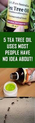 5 Tea Tree Oil Uses Most People Have No Idea About Tea Tree Oil Uses Essential Oils Herbs Tea Tree Oil