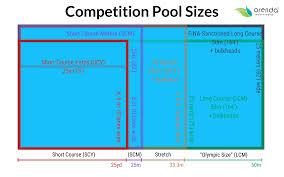 Your backyard pool will bring back memories of pool parties past, with the endless pools difference: How Big Is An Olympic Swimming Pool
