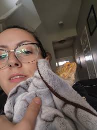 My tiny bearded dragon ornament!