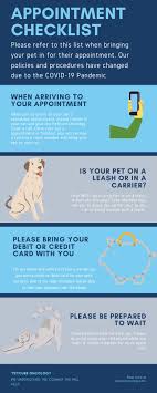 Pin On Petcure Oncology