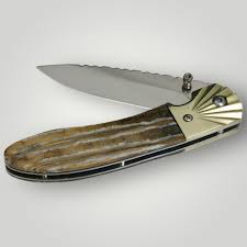 Image result for mammoth bone inlay fountain pen