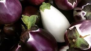 Malheureusement, france inter ne diffuse plus cet enregistrement. On Va Deguster Special Ete Les Aubergines