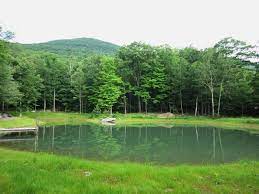 Is it ok to fill in a premier pond? Pond Construction Building Repair And Maintenance In The Catskills And Hudson Valley Including Ulster County Ellenville New Paltz Kingston And Woodstock Acccord And Stoneridge