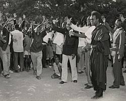 African Nationalism Wikipedia