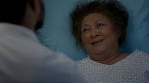 Enter the activity number, or part of the activity title in the search field, excluding any punctuation. Louise Grey S Anatomy Universe Wiki Fandom