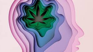 Check spelling or type a new query. Is Marijuana As Safe As We Think The New Yorker