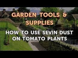 Jul 14, 2021 · where to use sevin insect killer concentrate. How To Use Sevin Dust On Tomato Plants Youtube