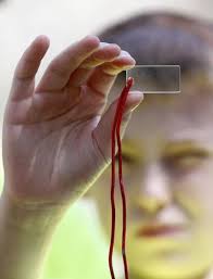 A celebration of trees in Foxboro