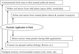 Ehrlich does provide one essential, however: Pesticide Toxicity To Pollinators Exposure Toxicity And Risk Assessment Methodologies Springerlink
