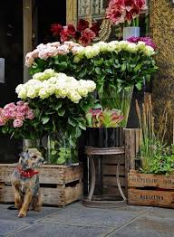 To The Florist Bloemenmarkt Bloemenwinkels Bloemen Winkels