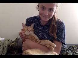 Holding A Cat Like A Baby Youtube