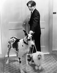 Love or money full movie netflix. Watch For Love Or Money On Netflix Today Netflixmovies Com