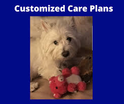 Are you wondering how you are going to care for your pet as you age in place? Pet Care Services S G Merchandise And Services