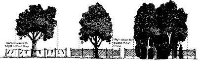 Resultado de imagen de Tree protection agencies